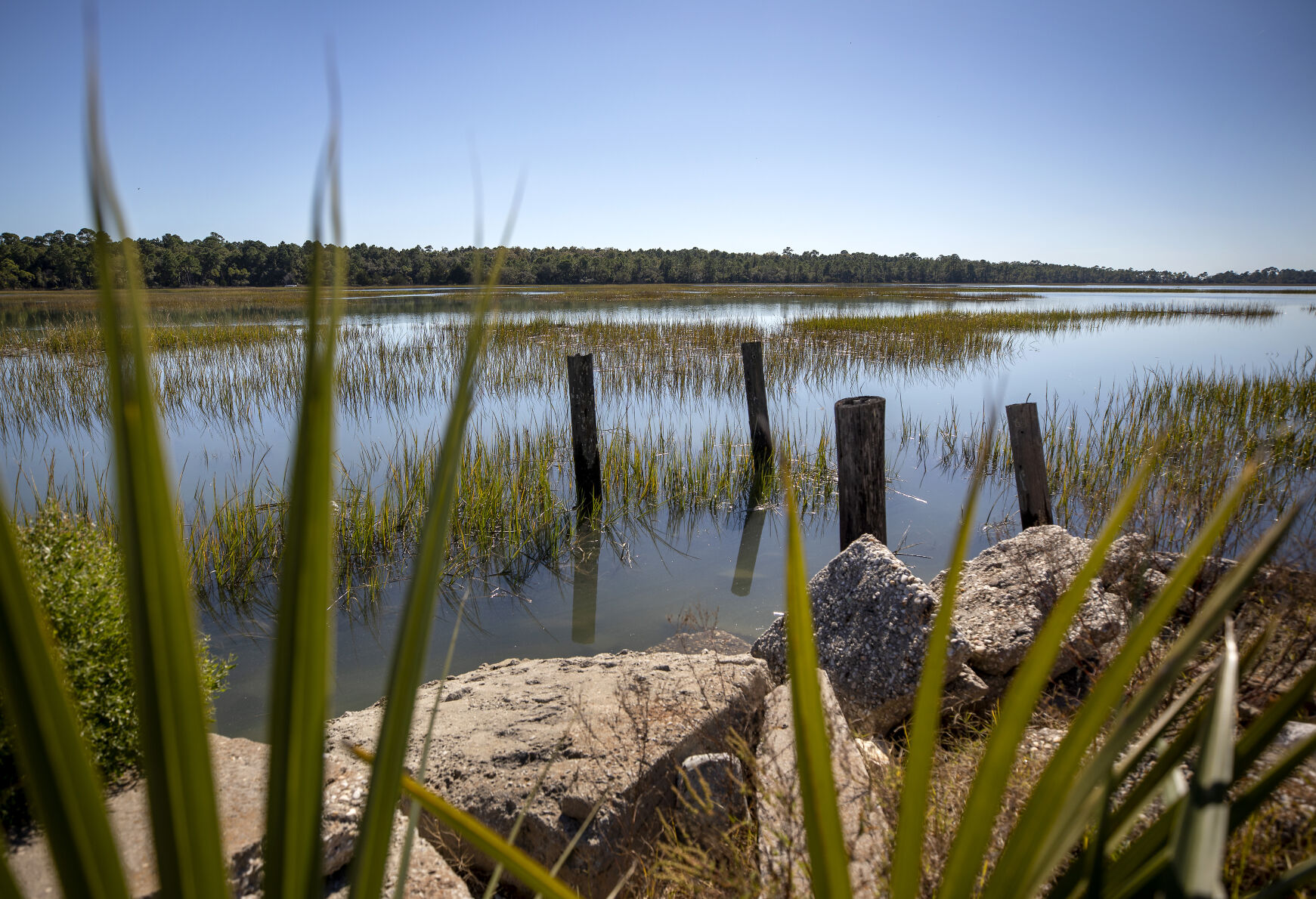 Mosquito Beach creek view.jpg